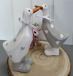 Ceramic Ducks
