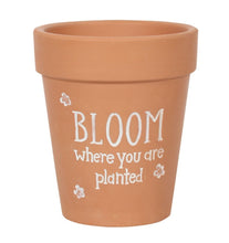 Load image into Gallery viewer, Terracotta Flower Pot