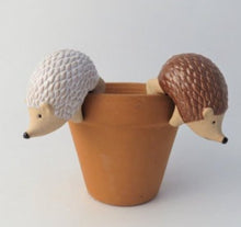 Load image into Gallery viewer, Hedgehog Plant Pot hanger
