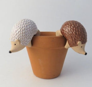 Hedgehog Plant Pot hanger