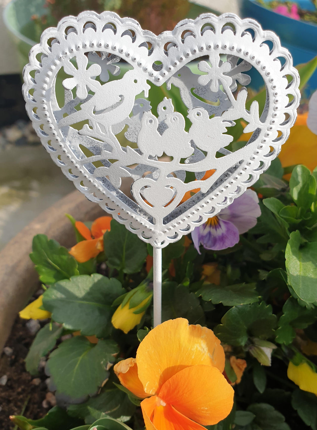 Springtime Heart Stakes