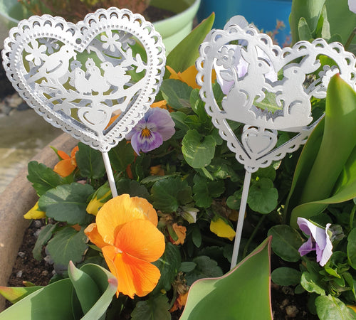 Springtime Heart Stakes