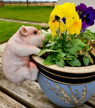 Load image into Gallery viewer, Plant Pot Pals