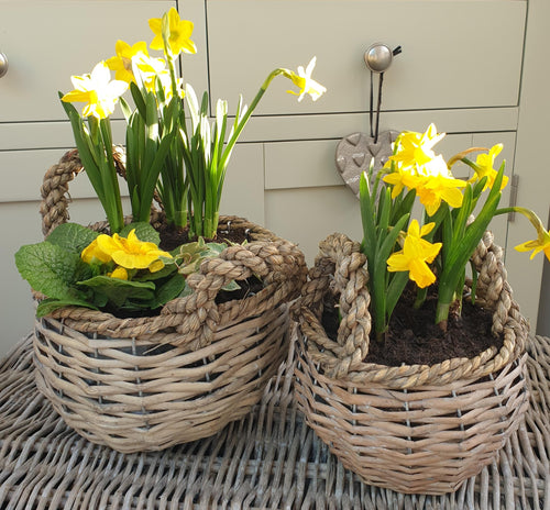Rustic Round Baskets