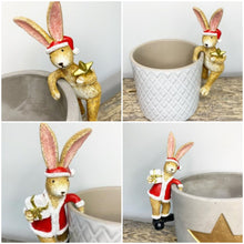 Load image into Gallery viewer, Christmas Rabbit Plant pot Pals